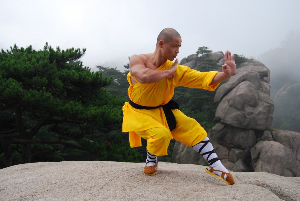 Shaolin – Delhi Kung-Fu Club